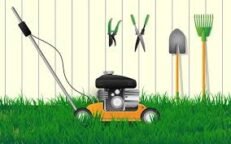 Gardening and Lawn care